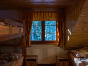 GoreljekDigital Detox Chalet Pokljuka的一间卧室设有两张双层床和一扇窗户。