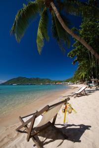 涛岛龟岛皇家度假酒店的棕榈树下沙滩椅