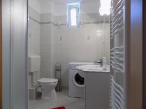 鲍洛托内瑟德58 - Stúdió apartman Balatonőszöd的浴室配有卫生间水槽和洗衣机。