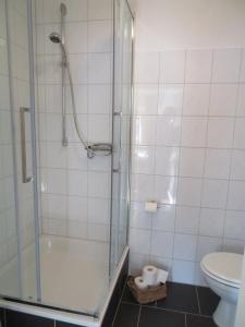 BalveFerienapartment Hugos的带淋浴和卫生间的浴室
