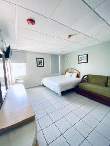 阿提约帕劳朵尔布恩酒店咖啡馆的一间卧室配有一张床和一张沙发