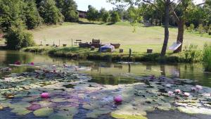 拉波拉诺泰尔梅Agriturismo San Bernardino Del Lago的相册照片