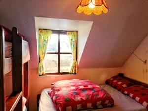 杜林Aille River Tourist Hostel and Camping Doolin的一间卧室设有一张床和一个窗口