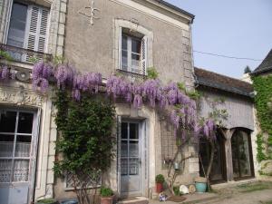 CheilléChambre d'hôtes Le Vaujoint的旁边是一座有紫藤的建筑