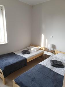 Apartament w zieleni do wynajęcia blisko jeziora客房内的一张或多张床位