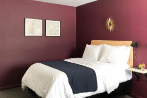 国际瀑布城The Nomad Motel - International Falls, MN - Near Canadian Border的一间卧室设有一张紫色墙壁的大床