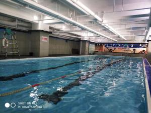 上海上海虹桥世茂睿选尚品酒店的一大群游泳者组成的水