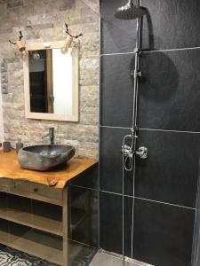 拉萨尔莱阿尔佩Ambiance petit chalet的一间带水槽和淋浴的浴室