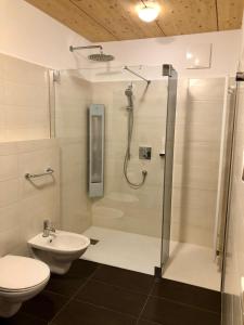 布列瑟农奥伯普兰彻霍夫山区马厩公寓的带淋浴、卫生间和盥洗盆的浴室