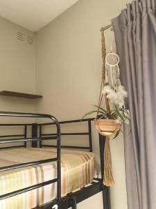 圣朱利安斯波西米亚旅馆的一间卧室配有双层床,篮子里装有植物
