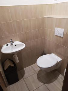 俄斯特拉发Tourist room Maria的一间带卫生间和水槽的浴室
