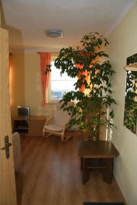 霍尼普拉纳扎后罗富罗哲公寓酒店的带沙发和植物的客厅