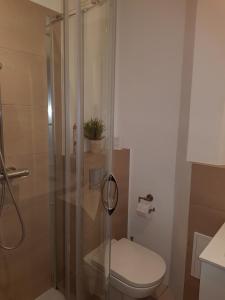华沙Coser Apartamenty Centrum 1的带淋浴、卫生间和盥洗盆的浴室