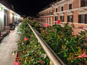 罗马多莫斯海伦娜旅馆的建筑物阳台上的一排鲜花