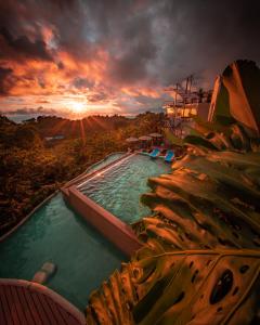 曼努埃尔安东尼奥盖亚保护区酒店 - 仅限成人的日落游船上的游泳池