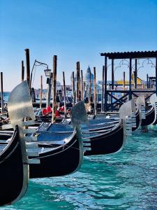威尼斯Venice Luxury Watersdoor的相册照片