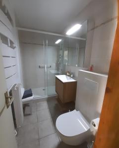 马赛MARSEILLE CALANQUES的浴室配有卫生间、盥洗盆和淋浴。