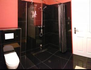 凯撒斯劳滕Bismarck-Apartment的浴室配有卫生间和带淋浴的淋浴。