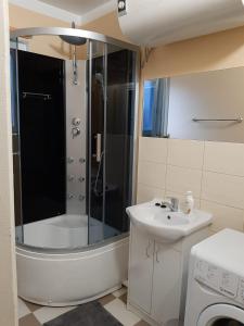 ĒrgļiErgli Apartment的带淋浴、盥洗盆和卫生间的浴室