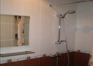 塔林Vabriku Guesthouse的带淋浴的浴室