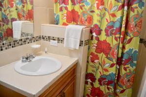 拿骚航道公寓的一间带水槽和淋浴帘的浴室