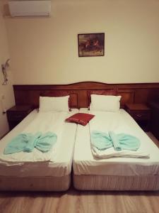 阿塞诺夫格勒Guest House Nani的两张睡床彼此相邻,位于一个房间里