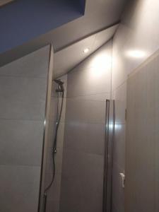 AltenstadtApartment-Design的带淋浴的浴室,天花板上配有灯