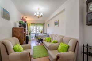 波尔图Apartment Rustic Oporto的带沙发和绿色地毯的客厅
