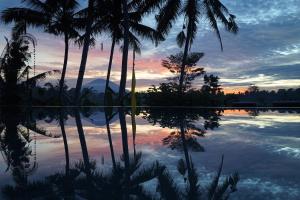 乌布Santun Luxury Private Villas-CHSE CERTIFIED的日落时分棕榈树在水中反射