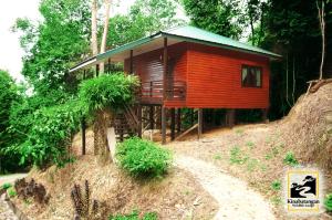 山打根Kinabatangan Wildlife Lodge的树林中的小山上的小木屋