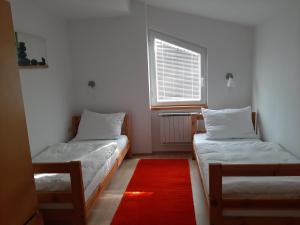 马里博尔Apartment Zupan的红色地毯的客房内的两张床