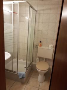 根廷Hotel Arkona的一间带卫生间和淋浴的浴室