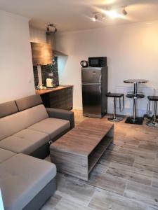 梅尔尼克Vehlovice Apartments的带沙发的客厅和厨房