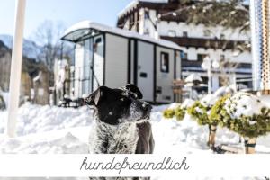 佩尔蒂绍Alpenhotel Tyrol - Konzepthotel - adults only的雪中一只黑白狗