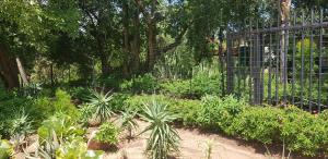 雾观A Farm Stay - Casablanca's Private Cottage,no loadshedding!的花园,带围栏和一些植物