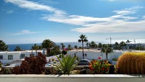 蒂亚斯Vv Apartamento Gran Vista Los Marinos的享有棕榈树停车场和大楼的景色
