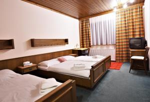IrschenHotel Vanda的酒店客房设有两张床和电视。
