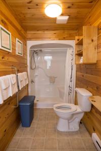 北拉斯蒂科北鲁斯蒂科度假村的浴室配有卫生间、淋浴和盥洗盆。
