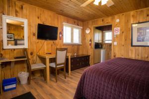 北拉斯蒂科北鲁斯蒂科度假村的一间卧室配有一张床、一张书桌和一台电视