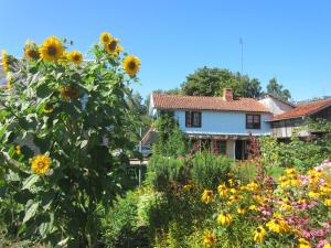 帕维洛斯塔阿丽度假屋的一座花园,位于一座向日葵屋前