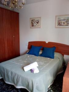 阿尔米利亚Apartamento Alejandra的一间卧室配有一张带蓝色枕头和毛巾的床。