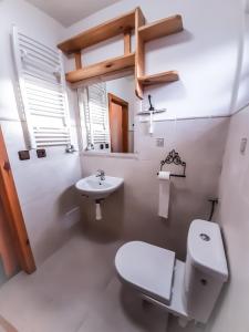 奥洛穆茨Apartmány Moravský Grunt的白色的浴室设有卫生间和水槽。