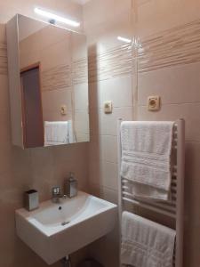 沃洛斯科VILLA VOLOSKO with private parking and breakfast,seaview的浴室配有盥洗盆、镜子和毛巾
