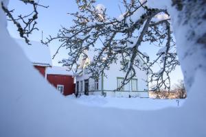 StraumenStrømnes - Oldefars gjestehus Inderøy的树枝上积雪的房子