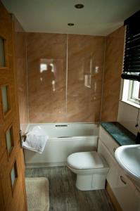 波特马多克Abergafren Lodge的一间带卫生间和水槽的浴室
