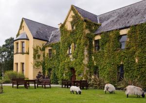 里塞斯伊纳湖小屋酒店的一群羊在一座建筑前面的草上放牧