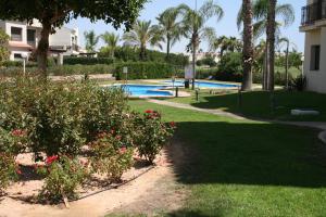 圣哈维耶尔Roda Golf & Beach Resort, Murcia的一个带游泳池和棕榈树的度假庭院