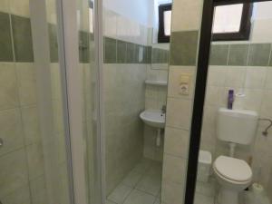 鲍科尼贝尔巴空伊贝尔野葡萄酒店及餐厅的一间带卫生间和淋浴的小浴室