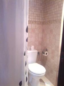 埃尔博斯克Apartamento Casa Romero的一间带卫生间和淋浴帘的浴室