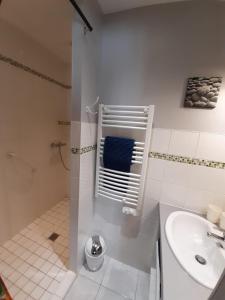 谢尔河畔圣乔治Chambre d'hôte La Voilerie du Cher的白色的浴室设有水槽和卫生间。